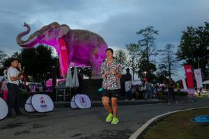 BIB: 
                            <button type="button" onclick="openModal(26529606)" class="btn btn-primary btn-sm float-right btn-popup" data-toggle="modal" data-target=".modal-high-quality">
                        <i class="fas fa-shopping-cart"></i> Add to Cart
                    </button>
                                            <button type="button" onclick="isThisMe(26529606, true)" class="btn btn-success btn-sm float-right btn-popup btn-isme hidden" data-toggle="tooltip" data-placement="bottom" title="นี่คือรูปของคุณใช่ไหม คลิกที่นี่เพื่อเอาเข้าอัลบั้ม">
                        <i class="fas fa-plus"></i> Add to album
                    </button>
                    <button type="button" onclick="isThisMe(26529606, false)" class="btn btn-warning btn-sm float-right btn-popup btn-isnotme hidden">
                        <i class="fas fa-ban"></i> Remove from album
                    </button>